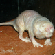 Foto: Wikipedia